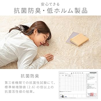 Amazon｜アイリスプラザ ラグ カーペット マット シャギー 円形